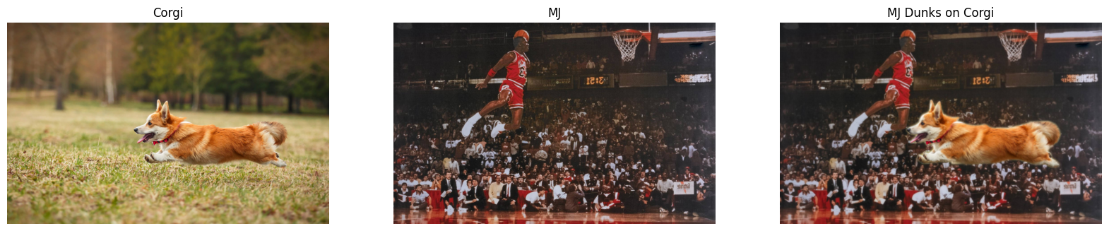 mj dunks on corgi